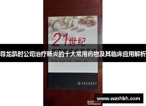 尊龙凯时公司治疗肠炎的十大常用药物及其临床应用解析
