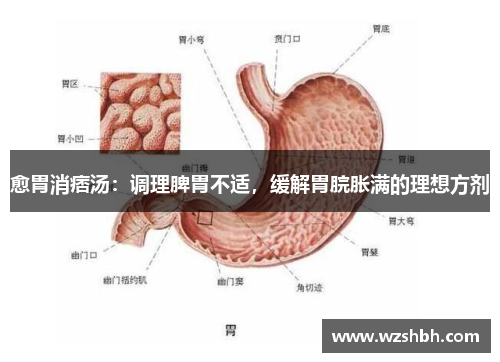 愈胃消痞汤：调理脾胃不适，缓解胃脘胀满的理想方剂