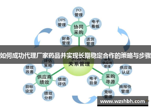 如何成功代理厂家药品并实现长期稳定合作的策略与步骤