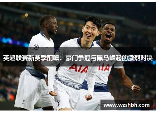 英超联赛新赛季前瞻：豪门争冠与黑马崛起的激烈对决